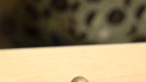 USCIS busca facilitar los trámites a inmigrantes.