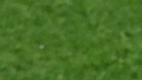 Jorge Vilda y Luis Rubiales durante un entrenamiento de la selección femenina de fútbol de España.