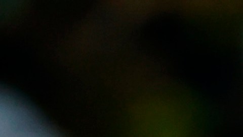 Benzema está con el equipo Al Ittihad.