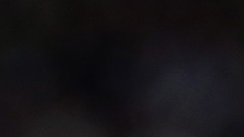 Messi celebra un gol ante Ecuador en la Eliminatoria Sudamericana para el Mundial 2026.
