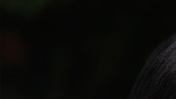 La pareja se disfrazó de los personajes de la película "Rosemary’s Baby".