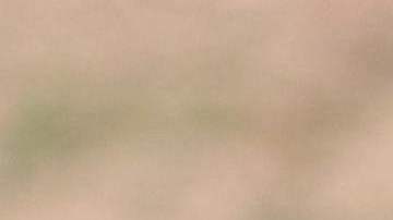 US Border Patrol agents process migrants between the primary and secondary fences of the border between Mexico and the United States in San Diego, California, on September 22, 2023. (Photo by DAVID SWANSON / AFP) (Photo by DAVID SWANSON/AFP via Getty Images)