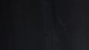 No es la primera vez que Kylie Jenner recibe el reconocimiento de PETA.