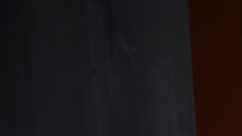 No es la primera vez que Kylie Jenner recibe el reconocimiento de PETA.