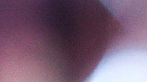 La escudería de Red Bull informó que el mexicano continuará con ellos la próxima temporada.