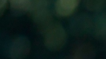 Miguel Cabrera dejó cifras de 511 jonrones y 3.174 hits de por vida.