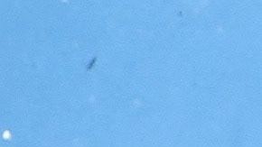 Huracán Lidia alcanza categoría 4 como “extremadamente peligroso” previo a su impacto en México