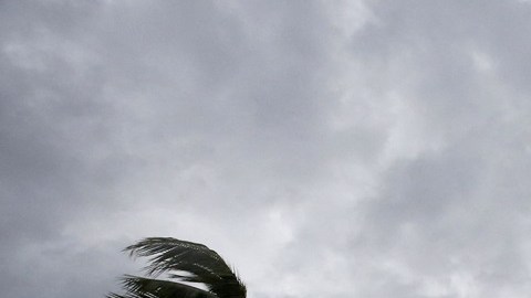 Sur de México en alerta ante el avance del huracán Otis de categoría 2