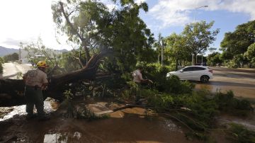 Tormenta tropical "Max" y el huracán "Lidia" suman ya 5 muertos en México