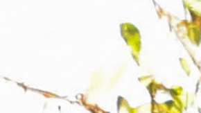 Guerra en Israel deja estela de muerte en el periodismo; hay 17 reporteros muertos