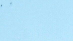 Oficial, Joe Biden visitará Israel en viaje de alto riesgo