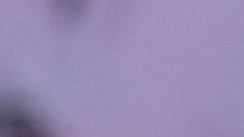 Lionel Scaloni aseguró que mañana se decidirá si Messi jugará ante Perú.