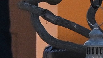 El lanzamiento del cortometraje coincide con la fecha considerada como fundadora de la Walt Disney Company