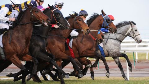 Caballos corriendo en Melbourne.