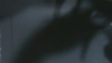 Scalise anunció que retiró su candidatura a presidente de la Cámara de Representantes el 12 de octubre de 2023.