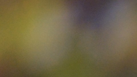 Darwin Machís con la Vinotinto.