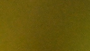 Rodrygo Goes con la selección de Brasil.