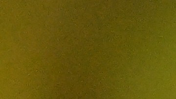 Rodrygo Goes con la selección de Brasil.