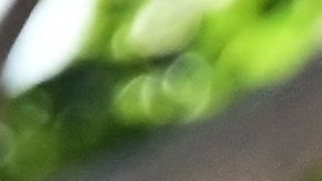 SAG-AFTRA members picket outside of Netflix's building on day 99 of their strike against the Hollywood studios in Hollywood, California on October 20, 2023. Talks between Hollywood actors and studios over an ongoing strike have collapsed on October 12, 2023, in a blow to hopes for a swift end to a crisis that has crippled the entertainment industry. (Photo by Frederic J. BROWN / AFP) (Photo by FREDERIC J. BROWN/AFP via Getty Images)