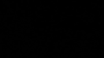 Chris compartió detalles sobre su doble celebración y mostró orgulloso su anillo de bodas ante los fanáticos.