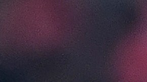 Antonio Mohamed incumplió el artículo 41 del Reglamento de la Liga MX.