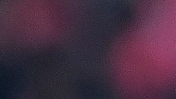 Antonio Mohamed incumplió el artículo 41 del Reglamento de la Liga MX.