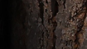 Jurado acusa a hombre de Illinois de delitos de odio y asesinato en ataque a madre e hijo musulmanes