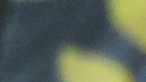 El PSV Eindhoven acumula dos empates en la presente edición de la Champions League.