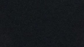 Santiago Giménez celebra un gol en la UEFA Champions League.