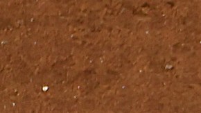 José Altuve celebra su cuadrangular junto a Yainer Diaz y Grae Kessinger.