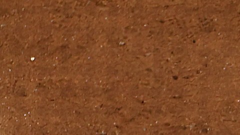 José Altuve celebra su cuadrangular junto a Yainer Diaz y Grae Kessinger.