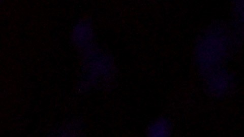 La ceremonia de clausura será el próximo domingo en el Estadio Bicentenario.