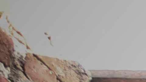 VIDEO: Policía en México conmueve al amamantar a bebé en Acapulco que llevaba dos días sin comer