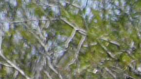 Migrante muere abandonada en desierto de Nuevo México por traficantes y pasar horas “boca abajo en la arena”