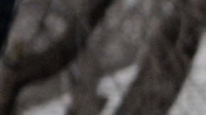 Suspendido jefe de policía que dirigió allanamiento de un periódico en Kansas