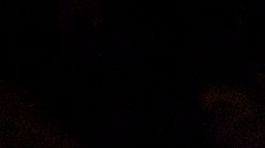 Al menos tres personas resultaron heridas en un tiroteo en la Feria Estatal de Texas