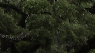 Hombre acusado de provocar incendio que mató a sus 3 hijos en una casa de Nueva Orleans