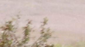 Dos soldados estadounidenses murieron y otros 12 resultaron heridos al volcar un vehículo militar en Alaska