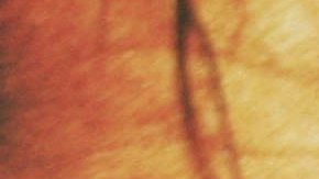 The Shining | Foto: Mark Renders/Getty Images