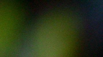 El ex guardameta israelí tuvo un paso por el fútbol español con el Racing, Deportivo La Coruña y Mallorca.