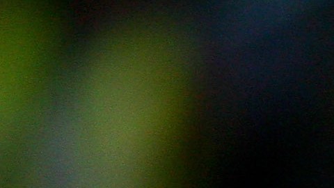 El ex guardameta israelí tuvo un paso por el fútbol español con el Racing, Deportivo La Coruña y Mallorca.