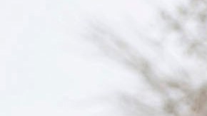 ¿Cuáles serán las zonas afectadas por la primera gran tormenta de nieve del año en EE.UU.?