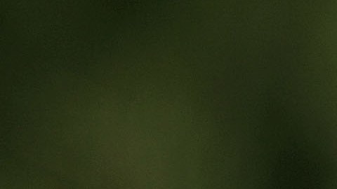 Jordan es una de las máximas figuras del deporte mundial.