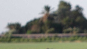 Agua en México, ¿vida o bonanza económica?