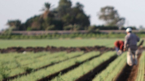 Agua en México, ¿vida o bonanza económica?