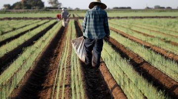 Agua en México, ¿vida o bonanza económica?