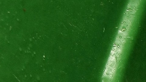 ¿Cómo evitar que cada mexicano desperdicie 94 kilos de alimentos anualmente?