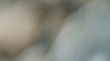 Tarántula provoca accidente de tránsito en el Parque Nacional Valle de la Muerte en California