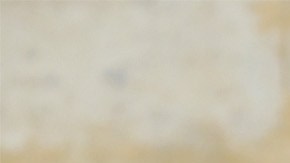 El objetivo principal es brindar asistencia a los miles de afectados por el huracán Otis en Acapulco