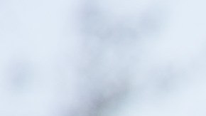 Crímenes de odio contra los latinos cada vez son más y más graves